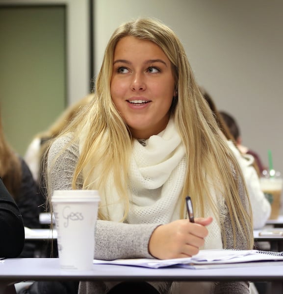 Programa bachelors degree international studies
